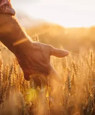 Aseguramos lo que más te importa.